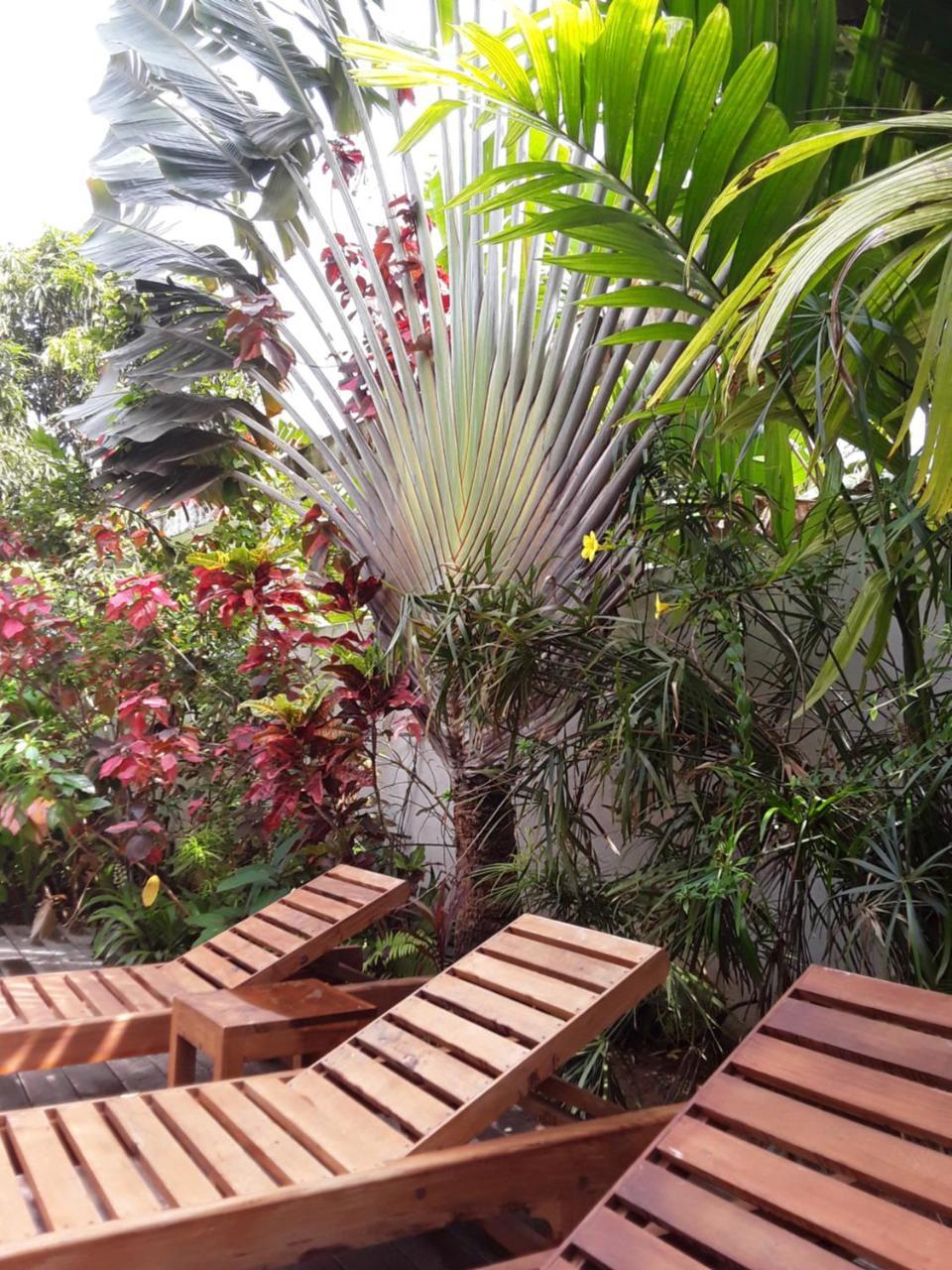 Casa Maria Hotel Mirissa Buitenkant foto
